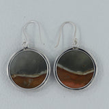 Zebra Jasper Silver Earring