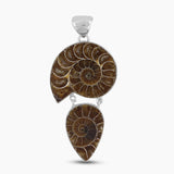 Natural Ammonite Fossil Silver Pendants