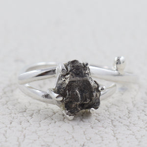 Meteorite Silver Rings