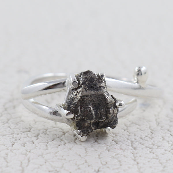 Meteorite Silver Rings