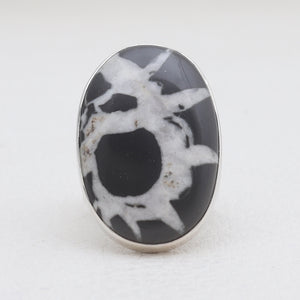 Moroccan Septarian Silver Rings
