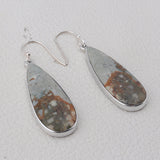 Carrasite Jasper Silver Earrings