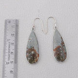 Carrasite Jasper Silver Earrings