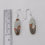 Carrasite Jasper Silver Earrings