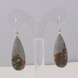 Carrasite Jasper Silver Earrings