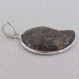 Natural Ammonite Silver Pendant