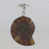 Natural Ammonite Silver Pendant