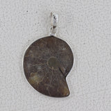 Natural Ammonite Silver Pendant