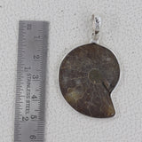 Natural Ammonite Silver Pendant