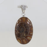 Natural Ammonite Silver Pendant