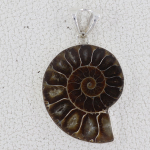 925 Sterling Silver Ammonite Pendant