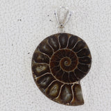 Ammonite Gemstone Pendant