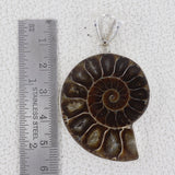 925 Starling Silver Ammonite Pendant