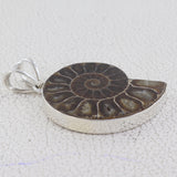 Ammonite Gemstone Pendant