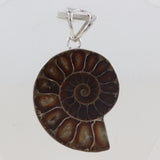 925 Starling Silver Ammonite Pendant