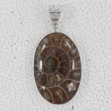 Natural Ammonite Silver Pendant