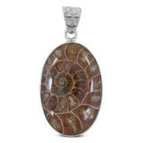 Natural Ammonite Silver Pendant