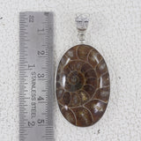 Natural Ammonite Silver Pendant