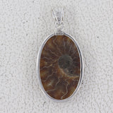 Natural Ammonite Silver Pendant