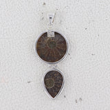 925 Starling Silver Ammonite Fossil Pendant